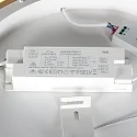 Steinhauer Luminaria de techo RINGLUX IP20, regulable