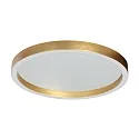 Steinhauer Luminaria de techo RINGLUX IP20, regulable