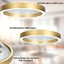 Steinhauer Luminaria de techo RINGLUX IP20, regulable