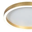 Steinhauer Luminaria de techo RINGLUX IP20, regulable