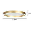 Steinhauer Luminaria de techo RINGLUX IP20, regulable