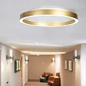 Steinhauer Luminaria de techo RINGLUX IP20, regulable
