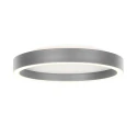 Steinhauer Luminaria de techo RINGLUX de 2 llamas IP20, acero regulable