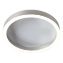 Steinhauer Luminaria de techo RINGLUX de 2 llamas IP20, acero regulable