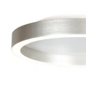 Steinhauer Luminaria de techo RINGLUX de 2 llamas IP20, acero regulable