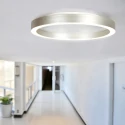 Steinhauer Luminaria de techo RINGLUX de 2 llamas IP20, acero regulable