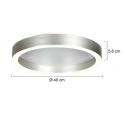 Steinhauer Luminaria de techo RINGLUX de 2 llamas IP20, acero regulable