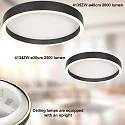 Steinhauer Luminaria de techo RINGLUX IP20, regulable