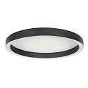 Steinhauer Luminaria de techo RINGLUX IP20, regulable