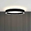 Steinhauer Luminaria de techo RINGLUX IP20, regulable