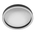 Steinhauer Luminaria de techo RINGLUX IP20, regulable