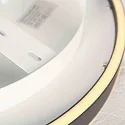 Steinhauer Luminaria de techo RINGLUX IP20, regulable