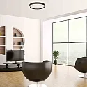 Steinhauer Luminaria de techo RINGLUX IP20, regulable