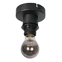 Steinhauer Luminaria de techo BLOEBA E27 IP20, regulable