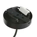 Steinhauer Luminaria colgante DOWNLUME GU10 IP20, regulable