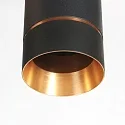 Steinhauer Luminaria colgante DOWNLUME GU10 IP20, regulable