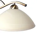 Steinhauer Luminaria colgante ANTHEA E27 IP20, regulable