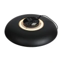 Steinhauer ceiling luminaire GOLDEN VEIL 2 flames IP20, black dimmable