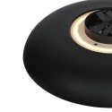 Steinhauer ceiling luminaire GOLDEN VEIL 2 flames IP20, black dimmable