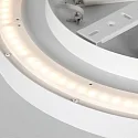 Steinhauer Luminaria de techo FLADY IP20, regulable