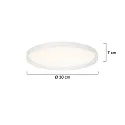 Steinhauer Luminaria de techo FLADY IP20, regulable