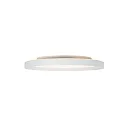 Steinhauer Luminaria de techo FLADY IP20, regulable