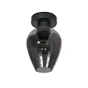 Mexlite Luminaria de techo BLOEBA E27 IP20, regulable
