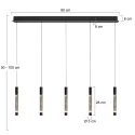 Steinhauer Luminaria colgante ALISIO IP20, regulable