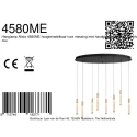 Steinhauer pendant luminaire ALISIO IP20, dimmable