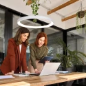 Steinhauer pendant luminaire RINGLEDE 1 flame IP20, white dimmable