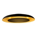 ceiling luminaire GOLDEN VEIL 2 flames IP20, black dimmable