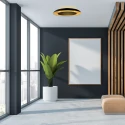 Steinhauer ceiling luminaire GOLDEN VEIL 2 flames IP20, black dimmable