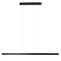 Steinhauer Luminaria colgante KAROL IP20, regulable