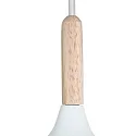 Mexlite Luminaria colgante BJORR - Ø 45CM de 1 llama, grande, plano E27 IP20, blanco mate regulable