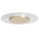 ceiling luminaire LIDO 1 flame IP20, gold dimmable