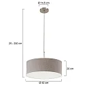 Steinhauer Luminaria colgante SPARKLED LIGHT cilíndrico, con pantalla E27 IP20, acero cepillado regulable