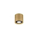 Foco RAY MINI CEILING SURF 1.0 PAR16 GU10 IP20, champán regulable